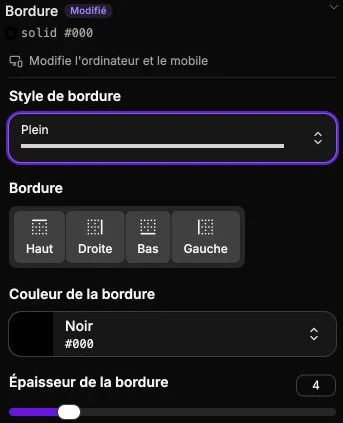 Une bordure pleine noire de 4 pixels sur les quatre côtés.