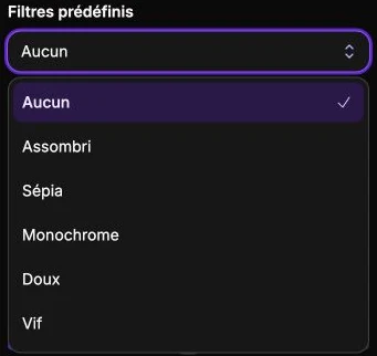 Filter presets for changing a media item’s appearance.