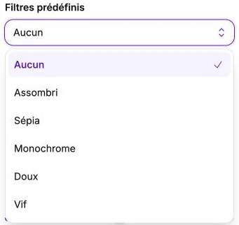 Filter presets for changing a media item’s appearance.