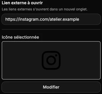 A demo social profile URL and its icon.