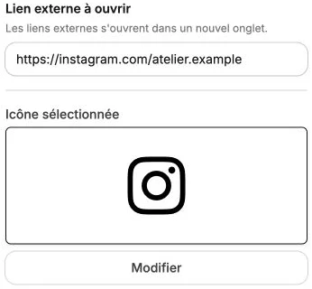 A demo social profile URL and its icon.