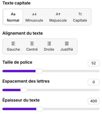 Text case, alignment, size, letter spacing and weight settings.