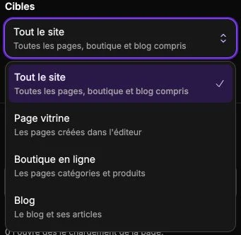 Les quatre portées possibles pour cibler l’affichage d’un pop-up.