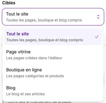 Les quatre portées possibles pour cibler l’affichage d’un pop-up.